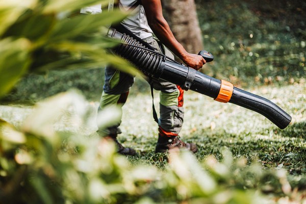 Entretien de pelouse et jardinage