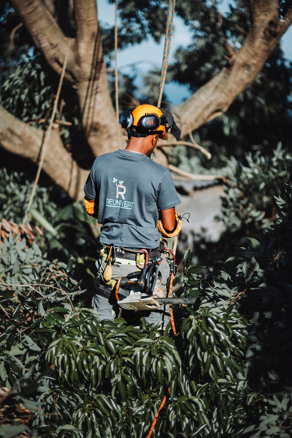 Service de plantations